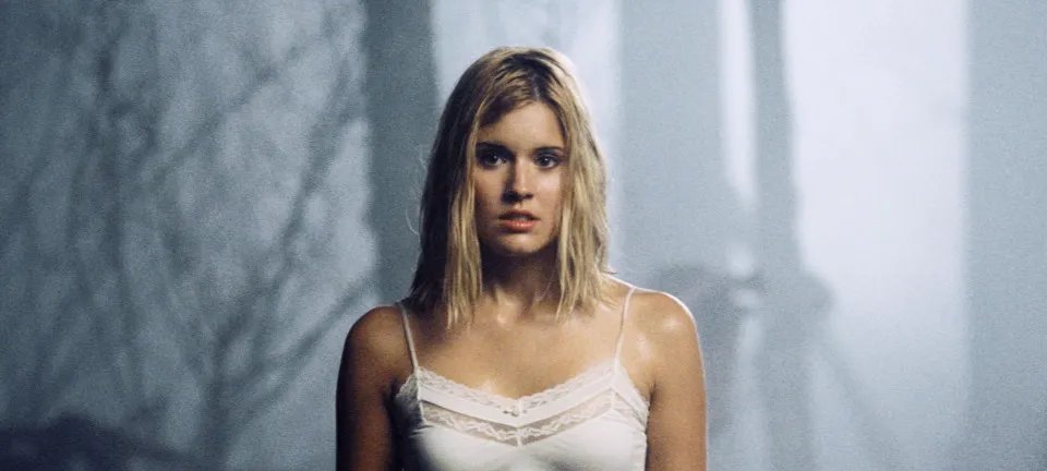 Portal reúne remakes de Hollywood que decepcionaram crítica e público - Imagem do artigo original