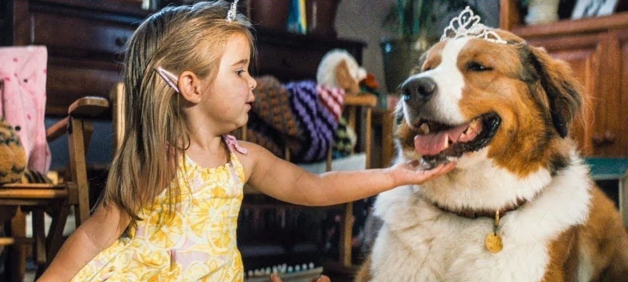 Sessão da Tarde exibe “Juntos Para Sempre” nesta terça (16); veja detalhes do filme comovente - Imagem do artigo