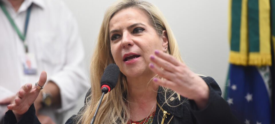 Deputada Luizianne Lins continua detida em Israel após rejeitar deportação sumária - Imagem do artigo